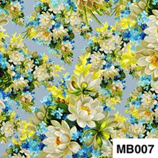 MB007