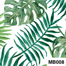 MB008-kopi