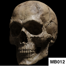 MB012