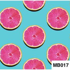 MB017