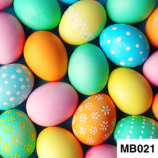 MB021