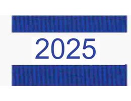 2025 blå