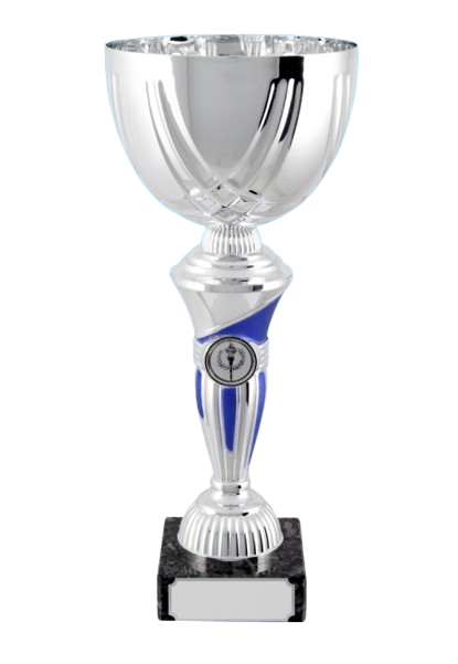 6619-removebg-preview